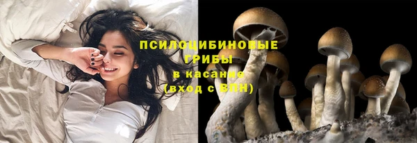 прущие крисы Мегион