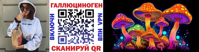 Псилоцибиновые грибы мицелий  Купить закладки  Яхрома 