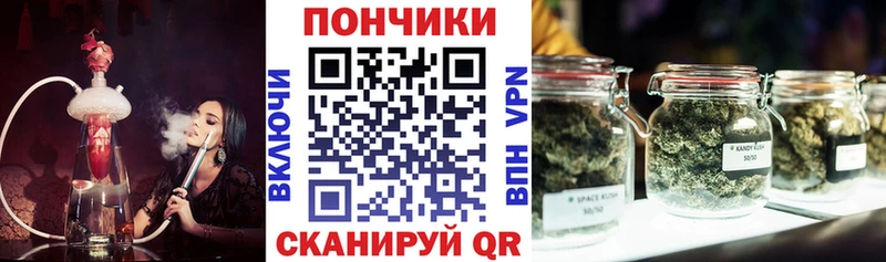 Бошки Шишки план  Купить где  Яхрома 